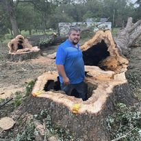 Danger Tree Removal
