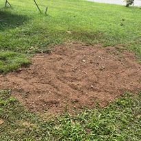 Stump Grinding